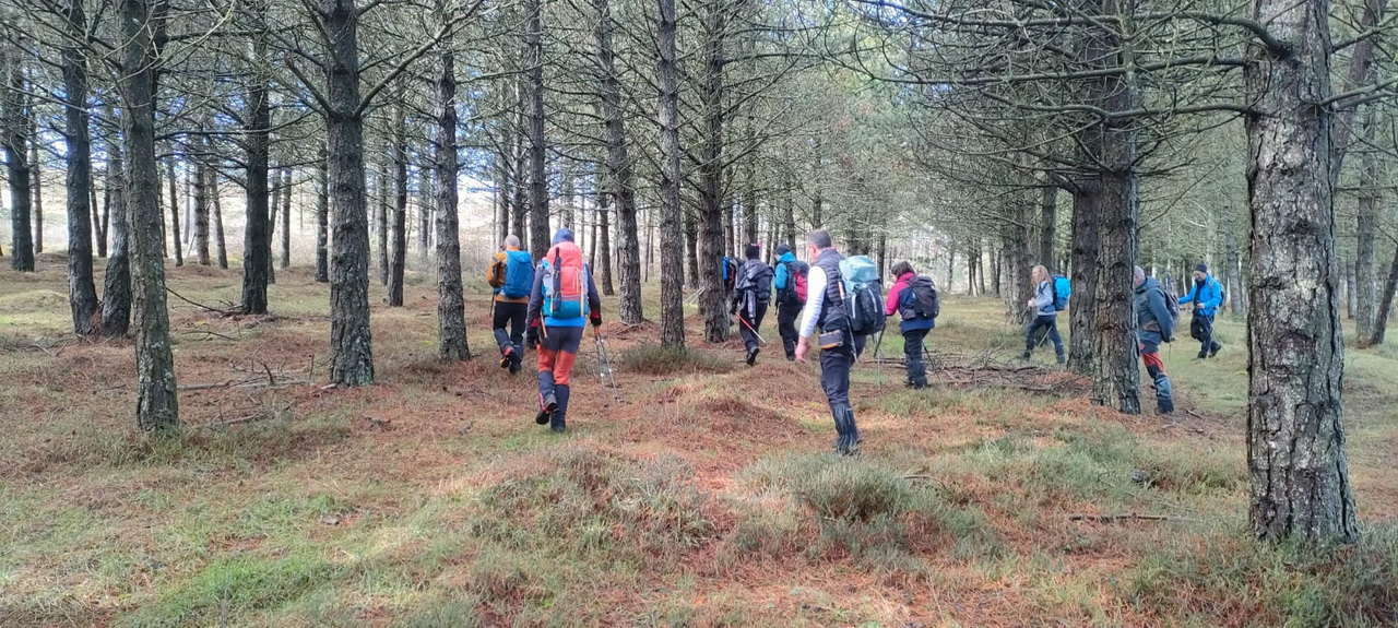 WhatsApp Image 2026-02-10 at 14.47.46 (5)